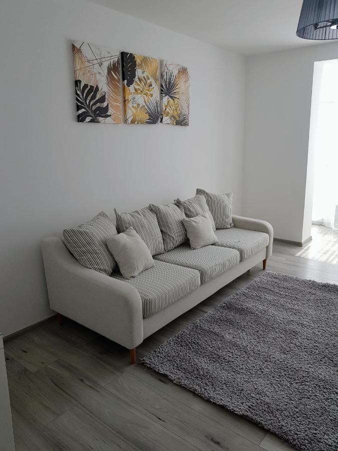 Alexa Apartament Târgu-Mureş Extérieur photo